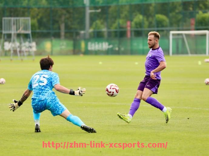 杏彩体育-德甲红牛系球队：红牛集团在德甲的足球投资与影响力