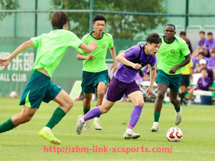 杏彩体育-世俱杯多面手球员场上位置切换频率与效果数据整理