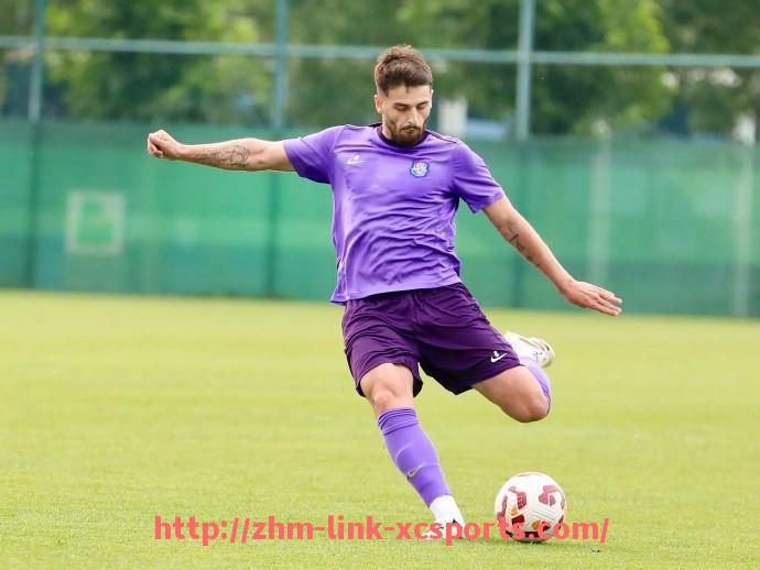 杏彩体育-世俱杯多面手球员场上位置切换频率与效果数据整理