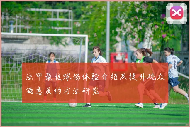 法甲最佳球场体验介绍及提升观众满意度的方法研究