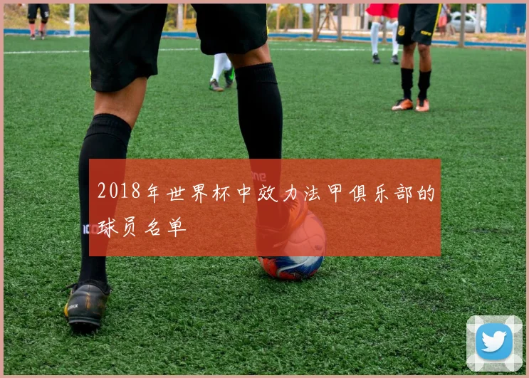2018年世界杯中效力法甲俱乐部的球员名单