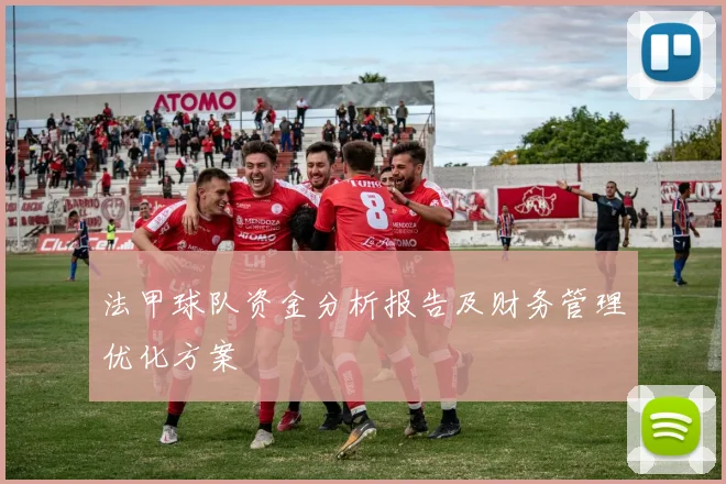 法甲球队资金分析报告及财务管理优化方案