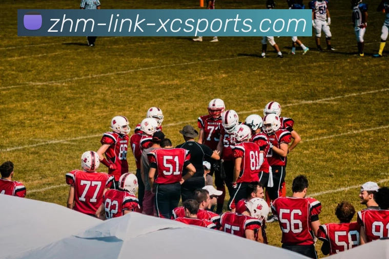 杏彩体育平台生态图