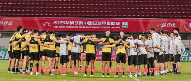 杏彩体育-世俱杯比赛停赛情况盘点：红黄牌停赛、伤病替补与临时调整